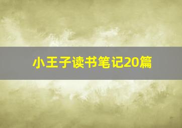 小王子读书笔记20篇