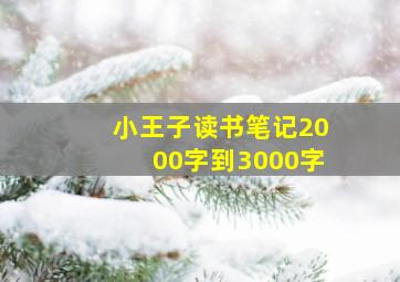 小王子读书笔记2000字到3000字