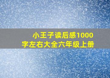 小王子读后感1000字左右大全六年级上册