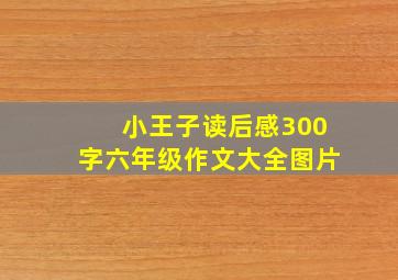 小王子读后感300字六年级作文大全图片