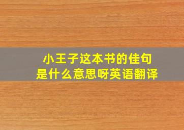 小王子这本书的佳句是什么意思呀英语翻译