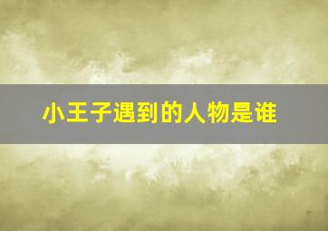 小王子遇到的人物是谁