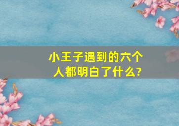 小王子遇到的六个人都明白了什么?