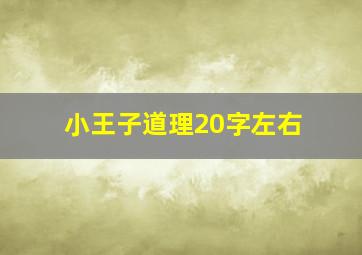 小王子道理20字左右