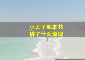 小王子那本书讲了什么道理