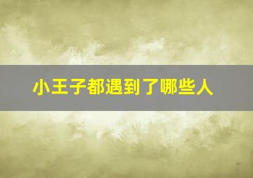 小王子都遇到了哪些人