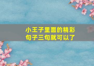 小王子里面的精彩句子三句就可以了