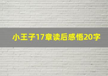 小王子17章读后感悟20字