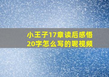 小王子17章读后感悟20字怎么写的呢视频