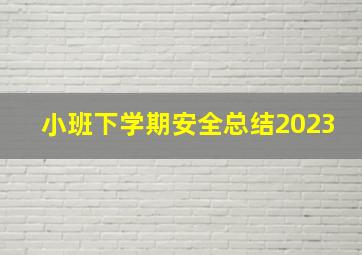 小班下学期安全总结2023