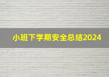 小班下学期安全总结2024