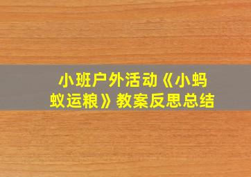 小班户外活动《小蚂蚁运粮》教案反思总结