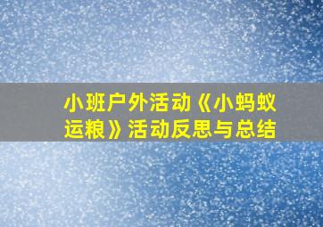 小班户外活动《小蚂蚁运粮》活动反思与总结