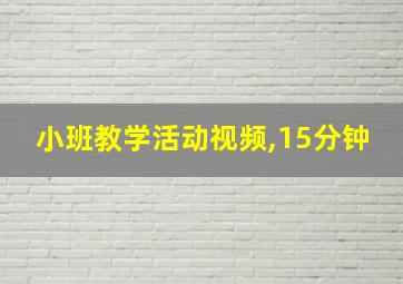 小班教学活动视频,15分钟