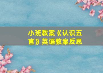 小班教案《认识五官》英语教案反思