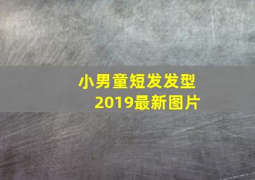 小男童短发发型2019最新图片