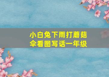 小白兔下雨打蘑菇伞看图写话一年级