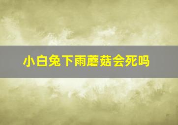 小白兔下雨蘑菇会死吗