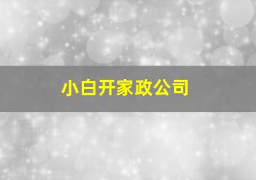 小白开家政公司