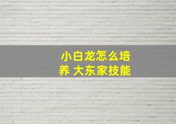 小白龙怎么培养 大东家技能