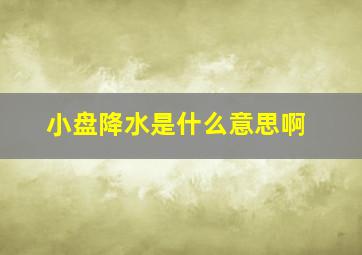 小盘降水是什么意思啊