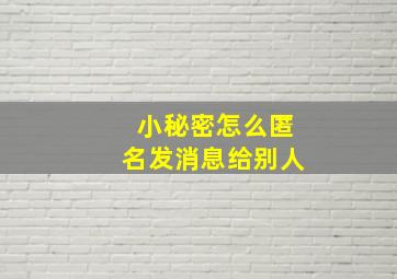 小秘密怎么匿名发消息给别人