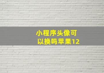 小程序头像可以换吗苹果12