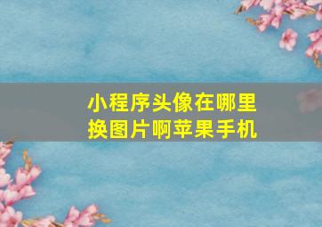 小程序头像在哪里换图片啊苹果手机