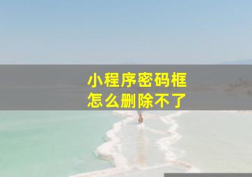 小程序密码框怎么删除不了