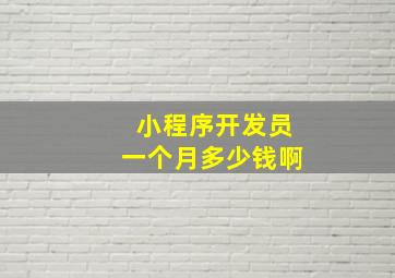 小程序开发员一个月多少钱啊