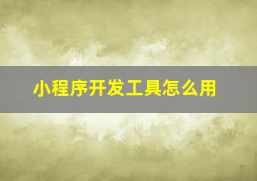 小程序开发工具怎么用