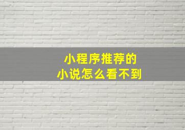 小程序推荐的小说怎么看不到