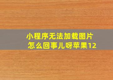 小程序无法加载图片怎么回事儿呀苹果12