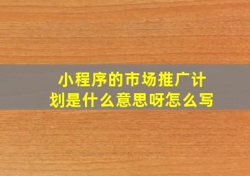 小程序的市场推广计划是什么意思呀怎么写