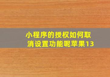 小程序的授权如何取消设置功能呢苹果13