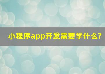 小程序app开发需要学什么?