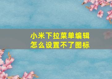 小米下拉菜单编辑怎么设置不了图标