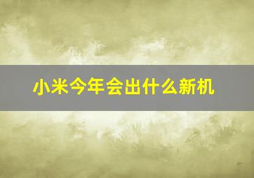 小米今年会出什么新机