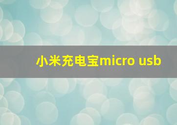 小米充电宝micro usb