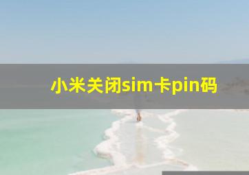 小米关闭sim卡pin码