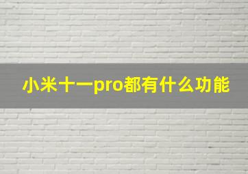 小米十一pro都有什么功能