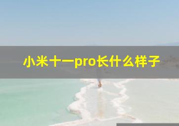 小米十一pro长什么样子