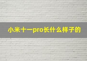 小米十一pro长什么样子的