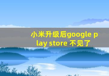 小米升级后google play store 不见了