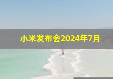 小米发布会2024年7月