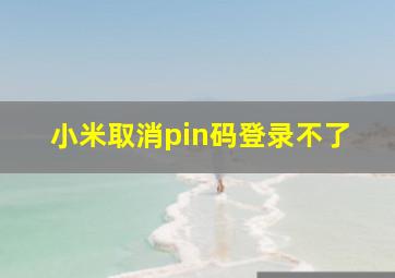 小米取消pin码登录不了