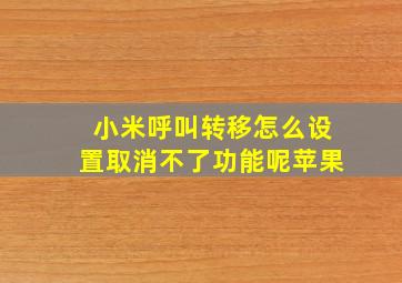 小米呼叫转移怎么设置取消不了功能呢苹果