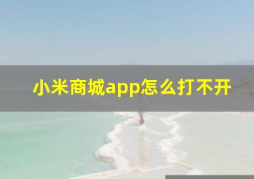 小米商城app怎么打不开