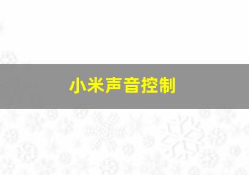 小米声音控制