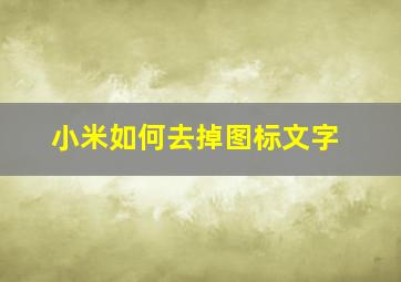 小米如何去掉图标文字